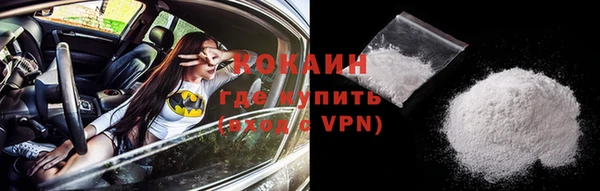 прущие грибы Краснотурьинск