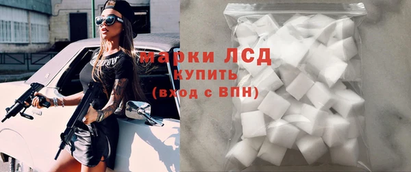 прущие грибы Краснотурьинск