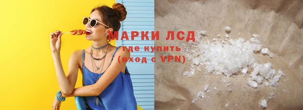 прущие грибы Краснотурьинск
