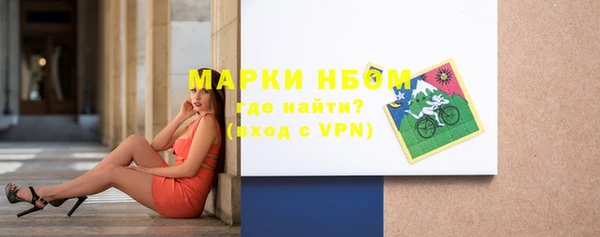 прущие грибы Краснотурьинск
