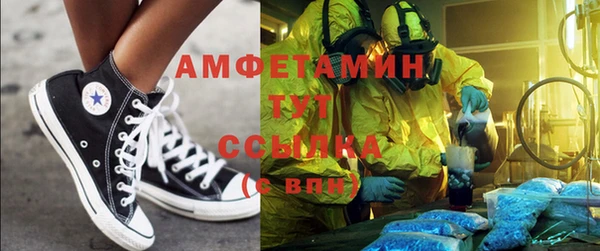 прущие грибы Краснотурьинск
