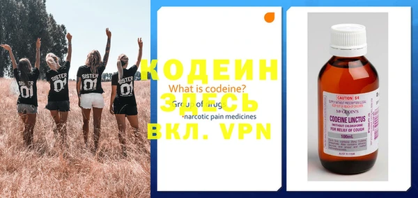 прущие грибы Краснотурьинск